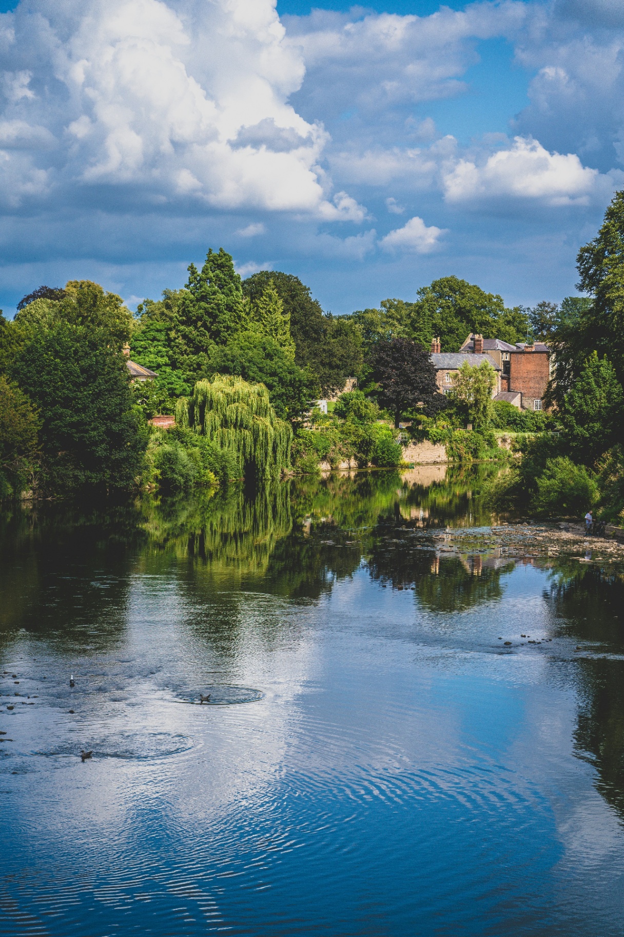 The River Wye in Herefordshire surrounded by greenery